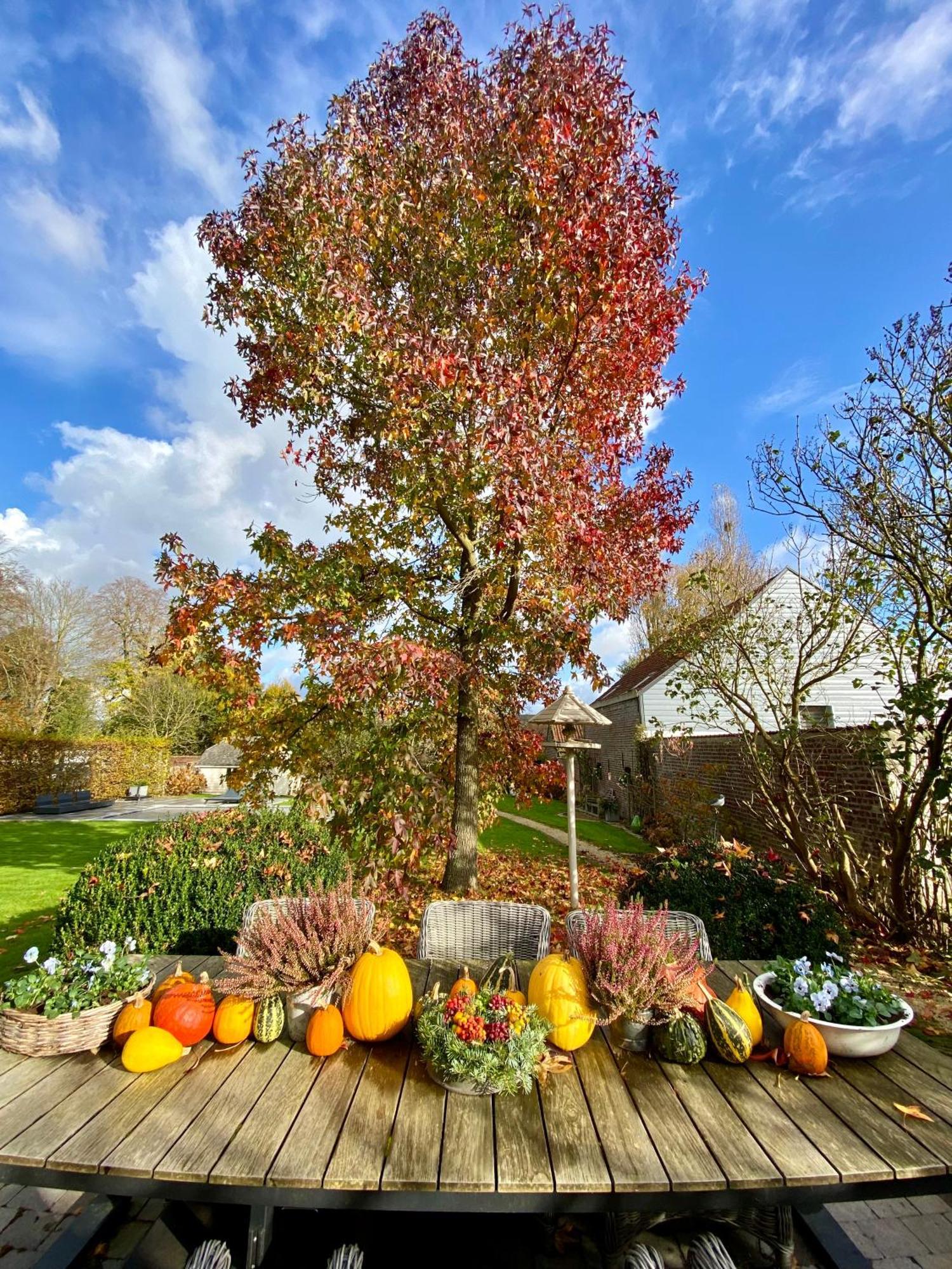 B&B Aline Florentine - Adults Only - Luxury B&B - Chambres D'Hotes - Zimmer Frei Kortenberg 외부 사진