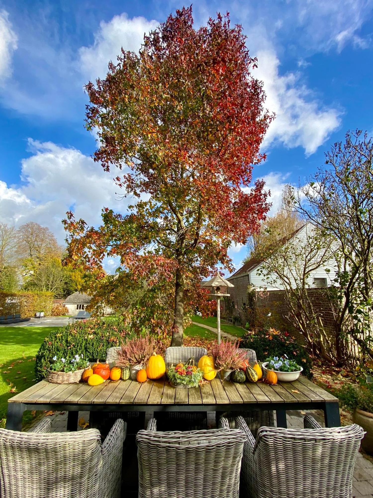B&B Aline Florentine - Adults Only - Luxury B&B - Chambres D'Hotes - Zimmer Frei Kortenberg 외부 사진