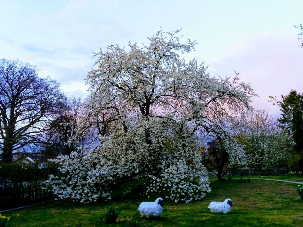 B&B Aline Florentine - Adults Only - Luxury B&B - Chambres D'Hotes - Zimmer Frei Kortenberg 외부 사진